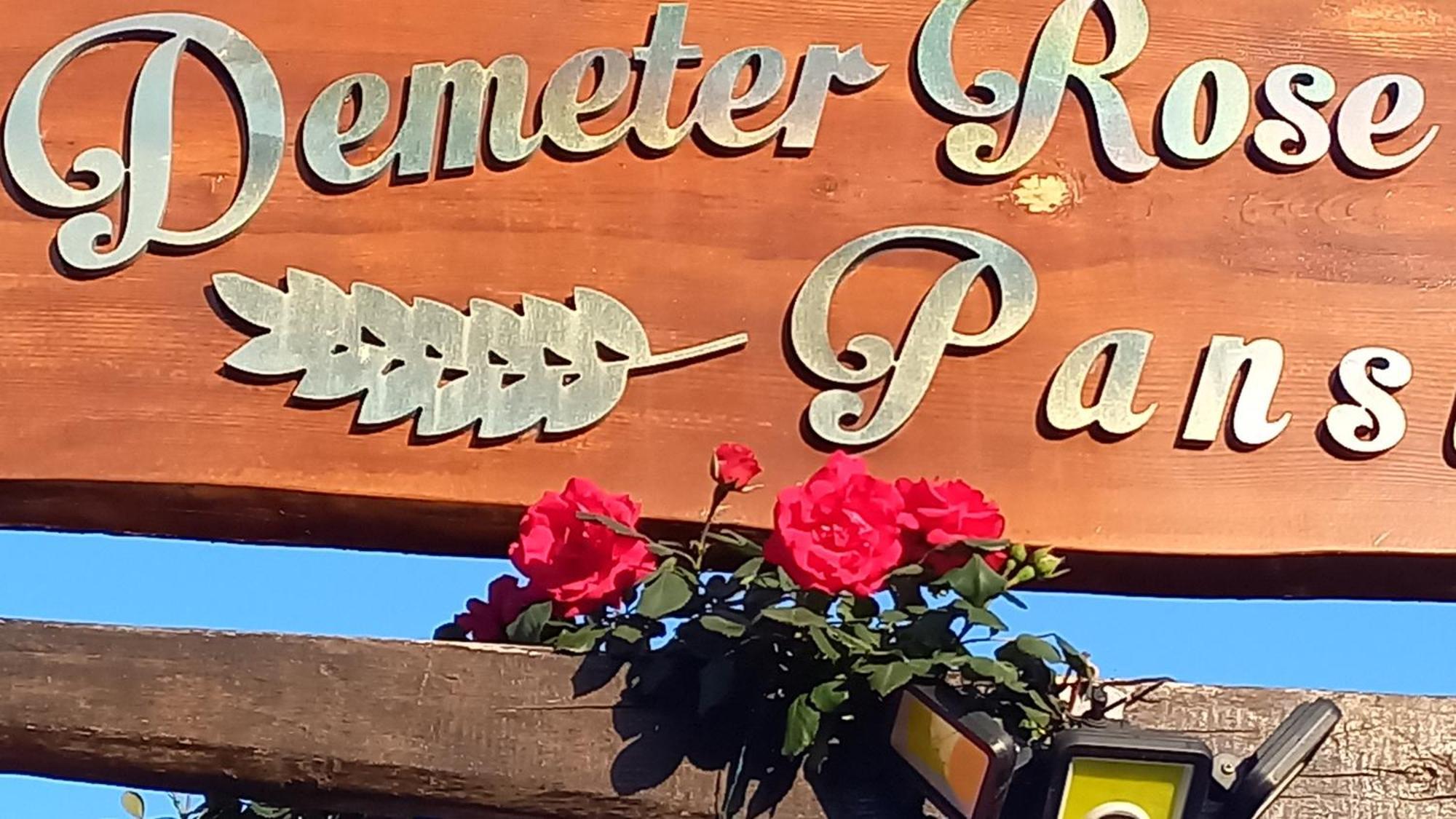 Demeter Rose Stonehouse Pansion Apartamento Antália Exterior foto